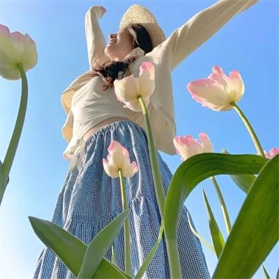 金三角风云